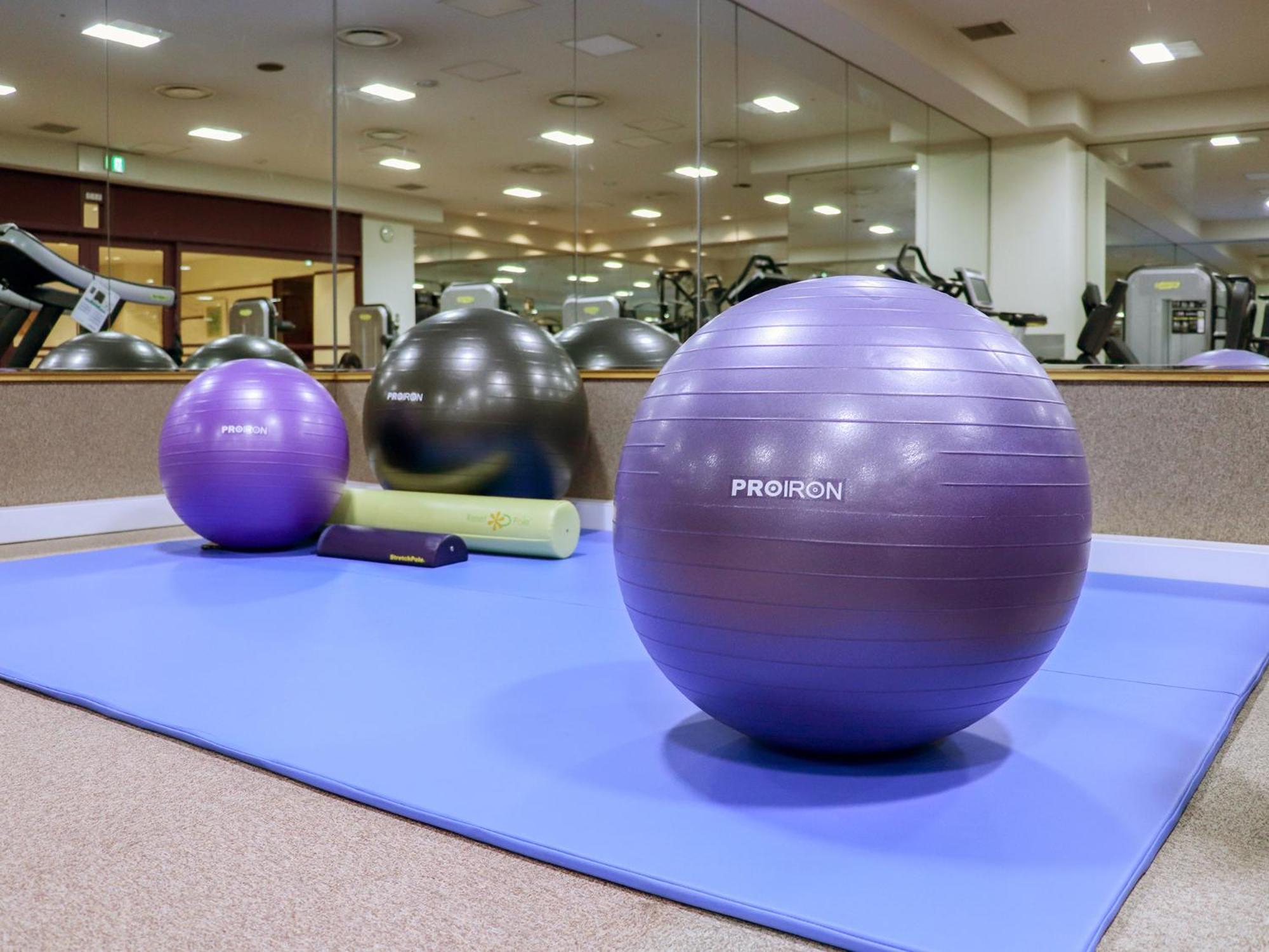 Premier Hotel -Tsubaki- Σαππόρο Εξωτερικό φωτογραφία Swiss exercise ball